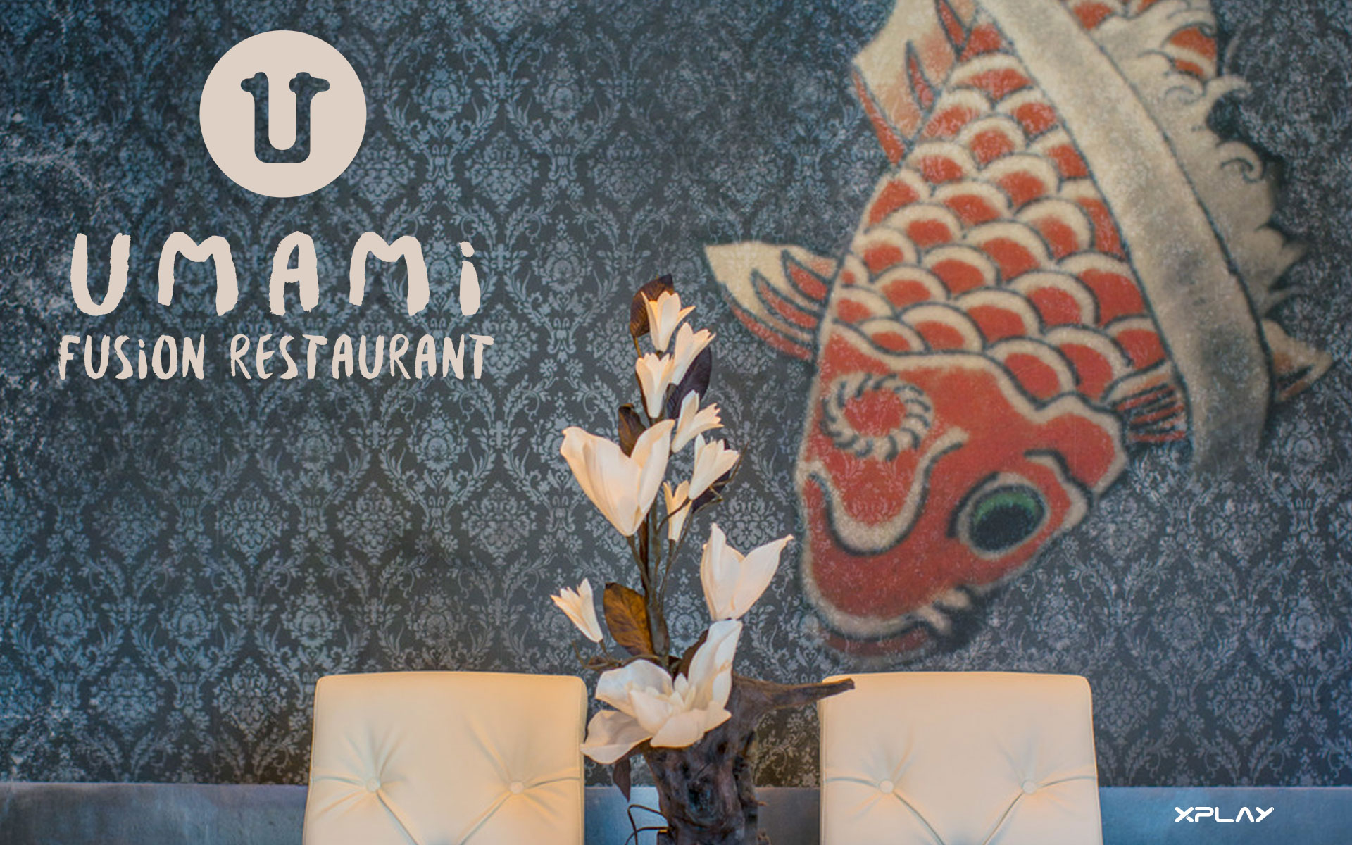 Umami a Padova
